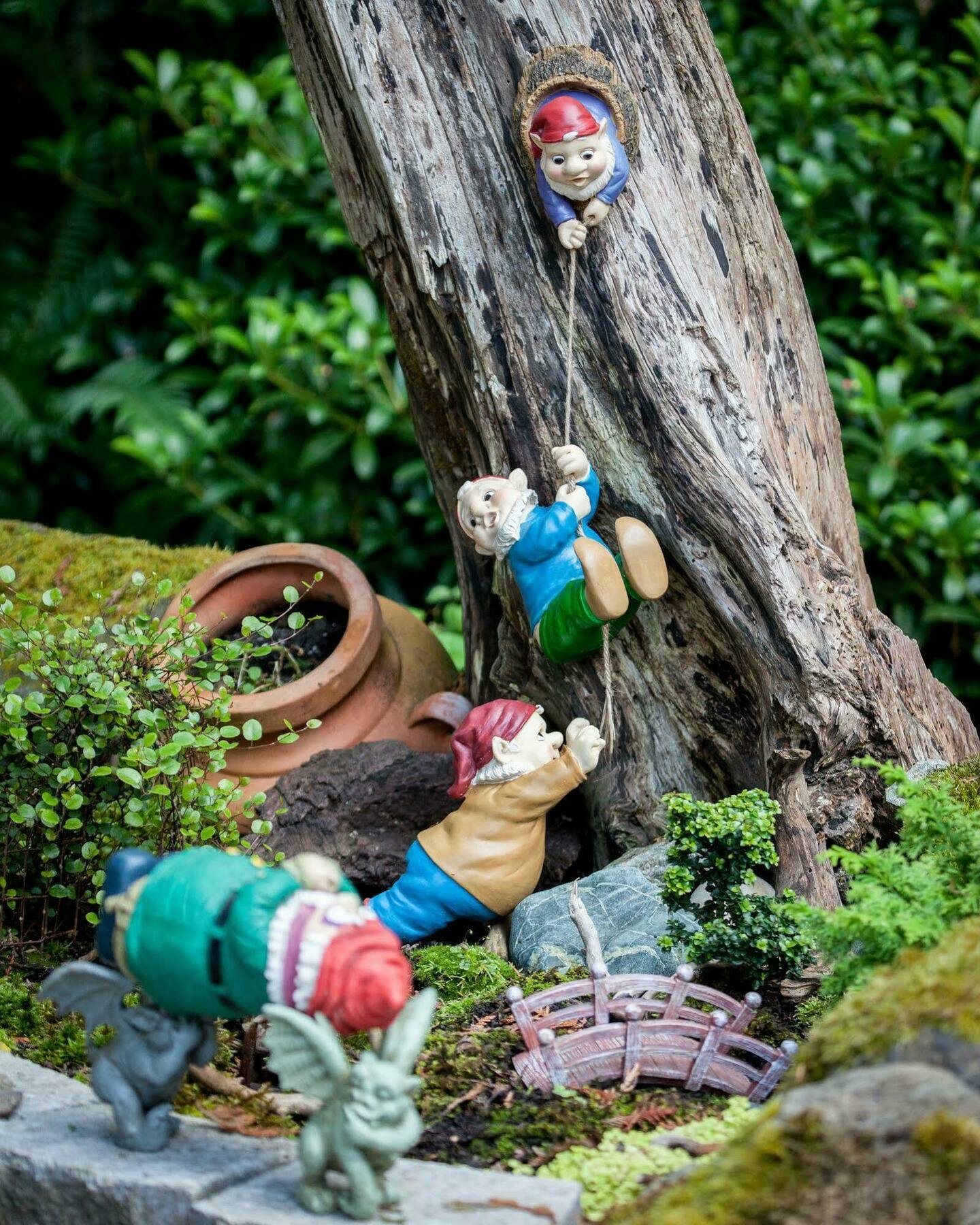 Bed and Breakfast Sea Cliff Gardens Port Angeles Exteriér fotografie