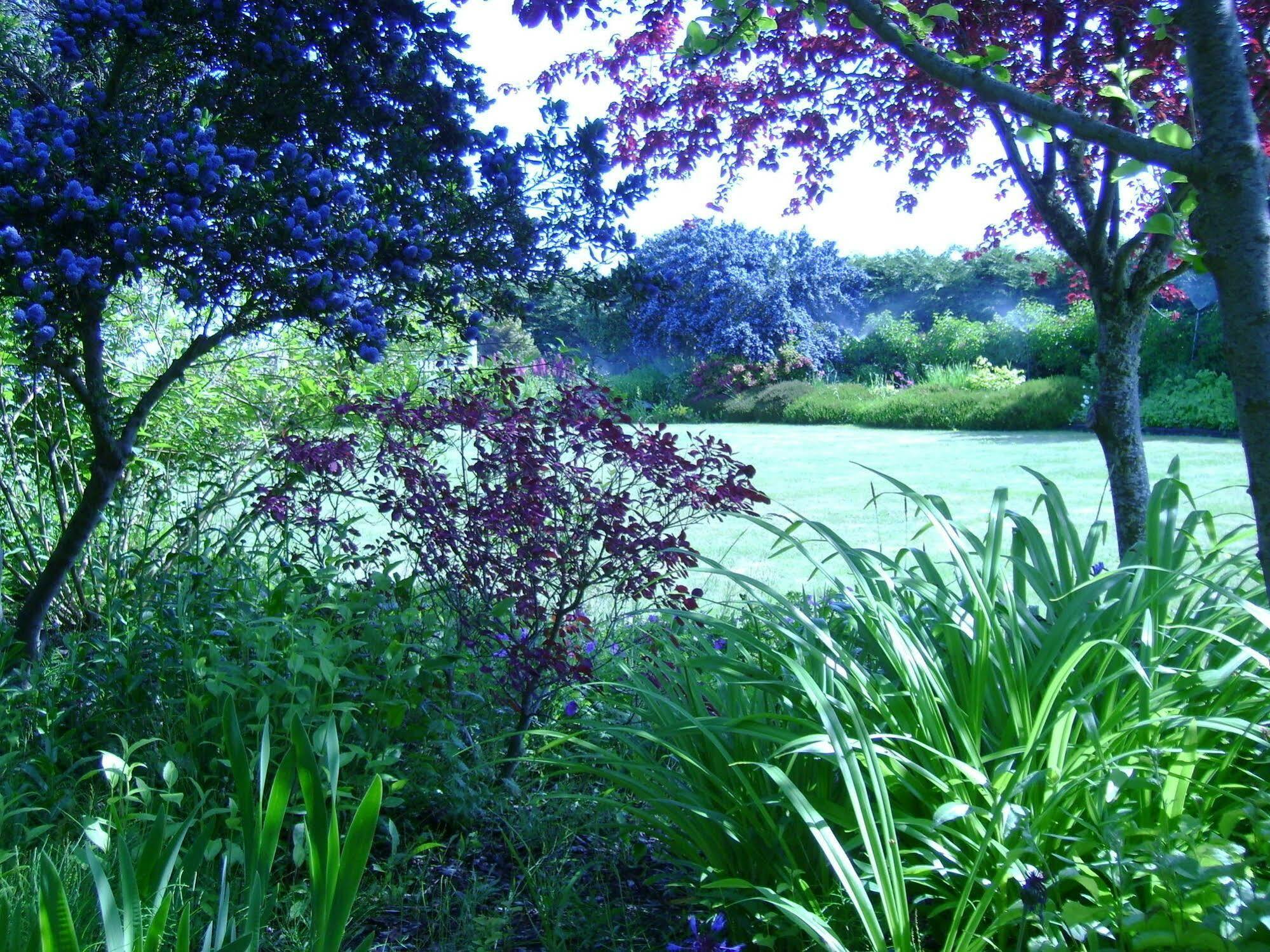 Bed and Breakfast Sea Cliff Gardens Port Angeles Exteriér fotografie